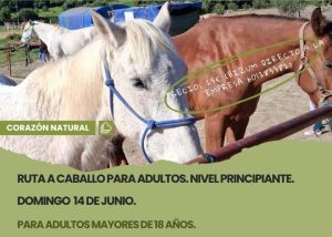 ¿Te gustan los caballos? Tenemos una ruta para ti