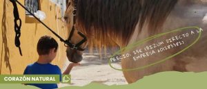 Nueva aventura para pequeños jinetes gracias al Club Hípico Mi Triana