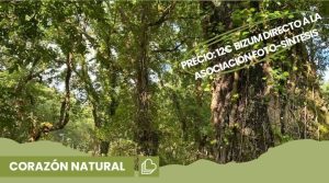 El colectivo Foto-Síntesis nos invita a hacer un recorrido interpretativo por Risco Blanco