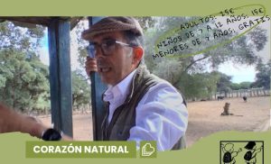 Cerramos nuestra programación de primavera con una experiencia sobre la cría del toro bravo