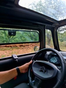 Descubre el paisaje de nuestro parque natural al volante de un vehículo eléctrico
